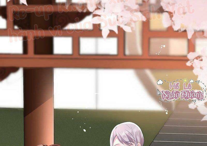 quận chúa vững vàng, thiết lập nhân vật không thể vỡ chapter 13 50