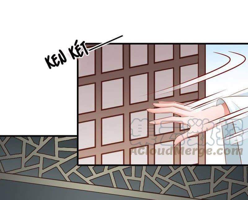 thái tử điện hạ có tin vui chapter 62 10