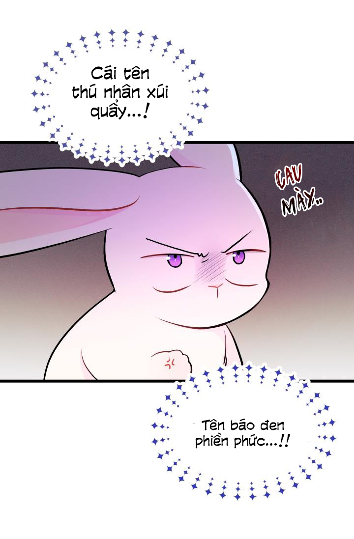 mối liên kết giữa báo đen và bé thỏ chapter 10 11