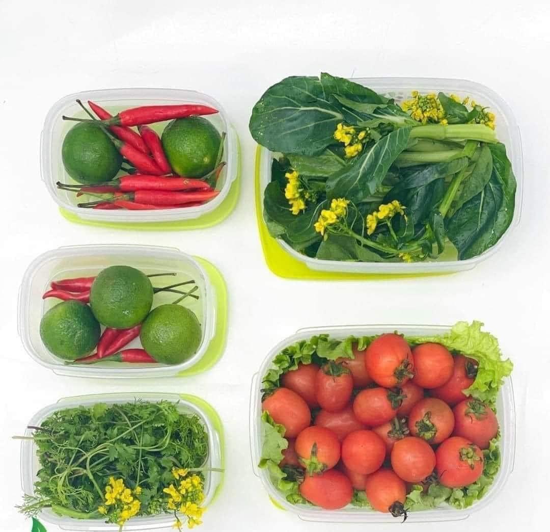 Bộ Hộp Tupperware Trữ Mát Có Nút Hô Hấp Ventsmart Five Star (05 Hộp) - Nữ Hoàng Ngăn Mát