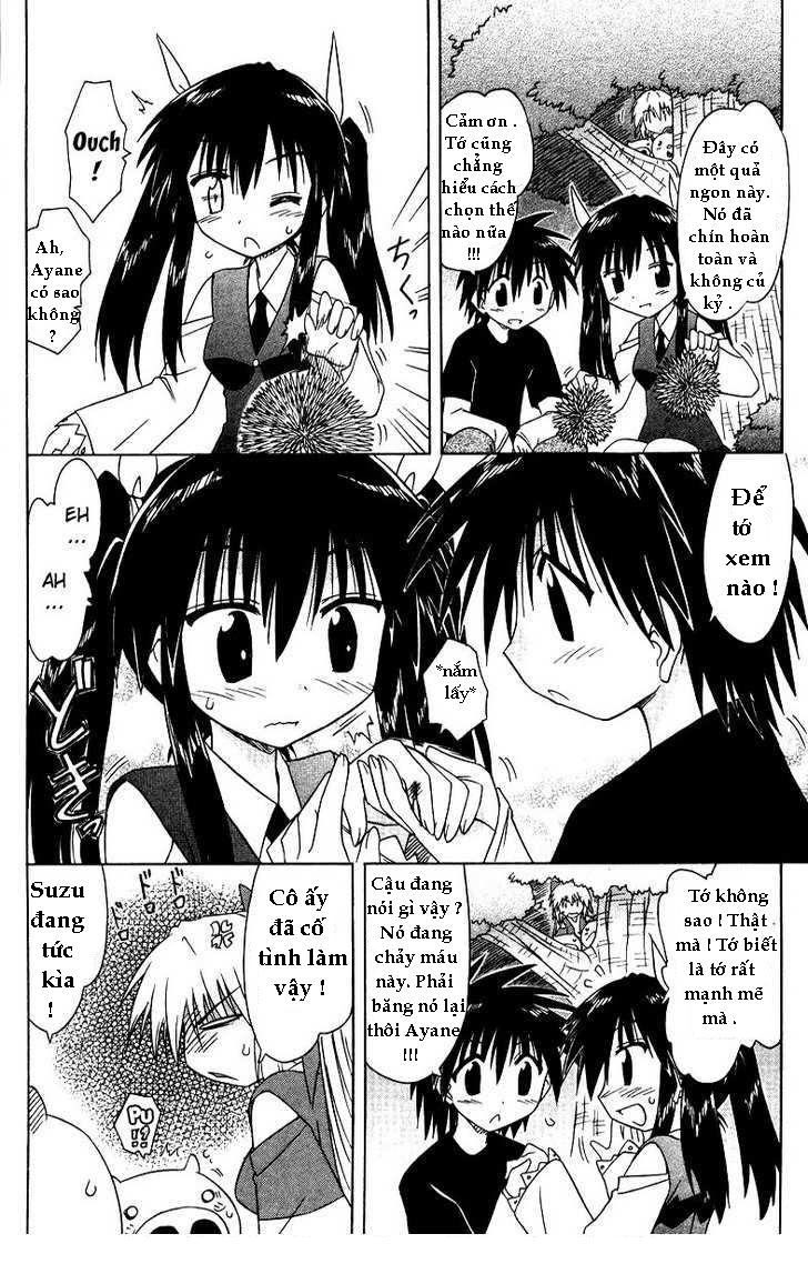 nagasarete airantou chapter 69 20