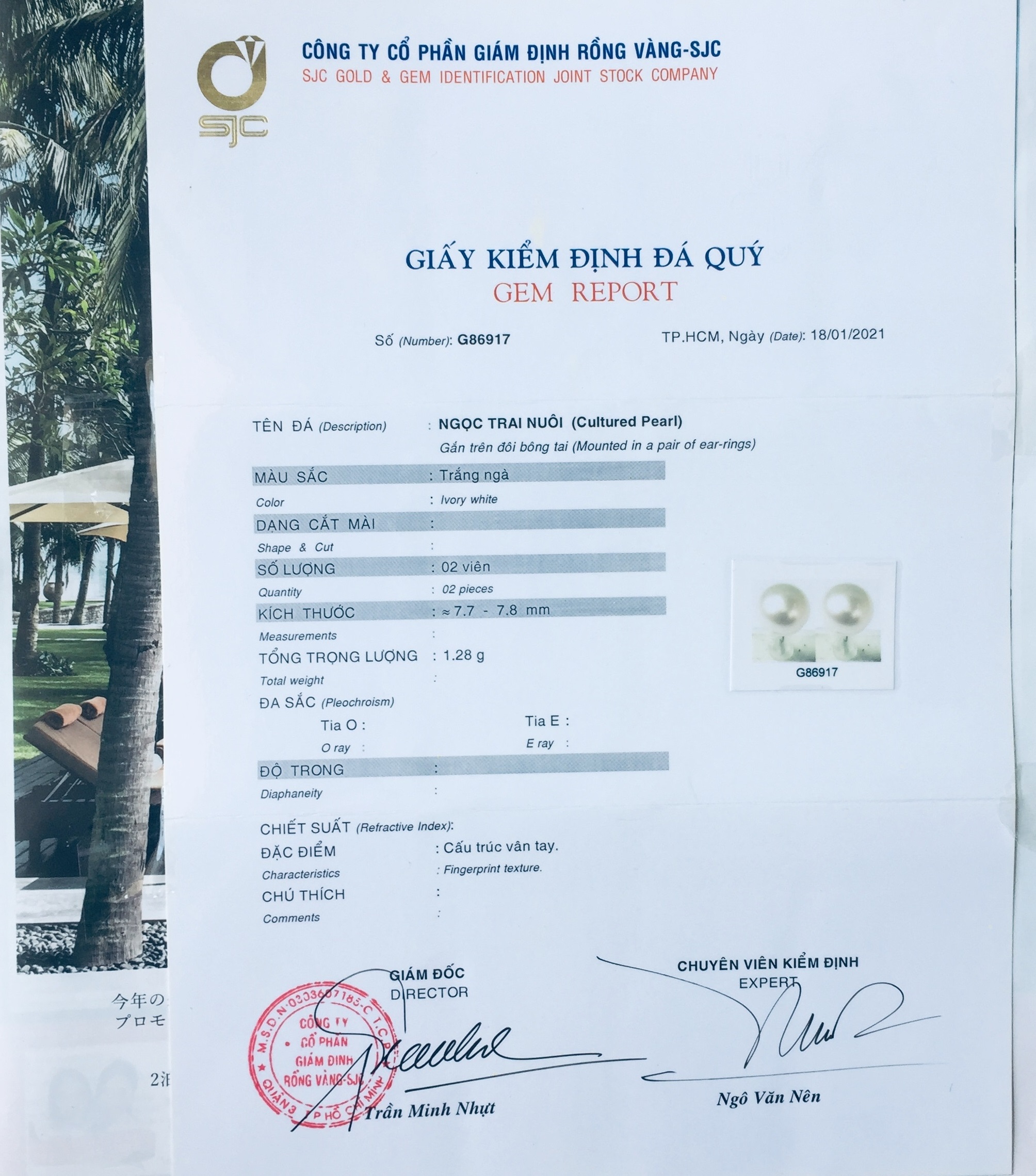 Combo Hoa Tai Ngọc Trai Thiên nhiên, kèm bản PHOTOCOPY giấy KIỂM ĐỊNH SJC và Túi Nhung