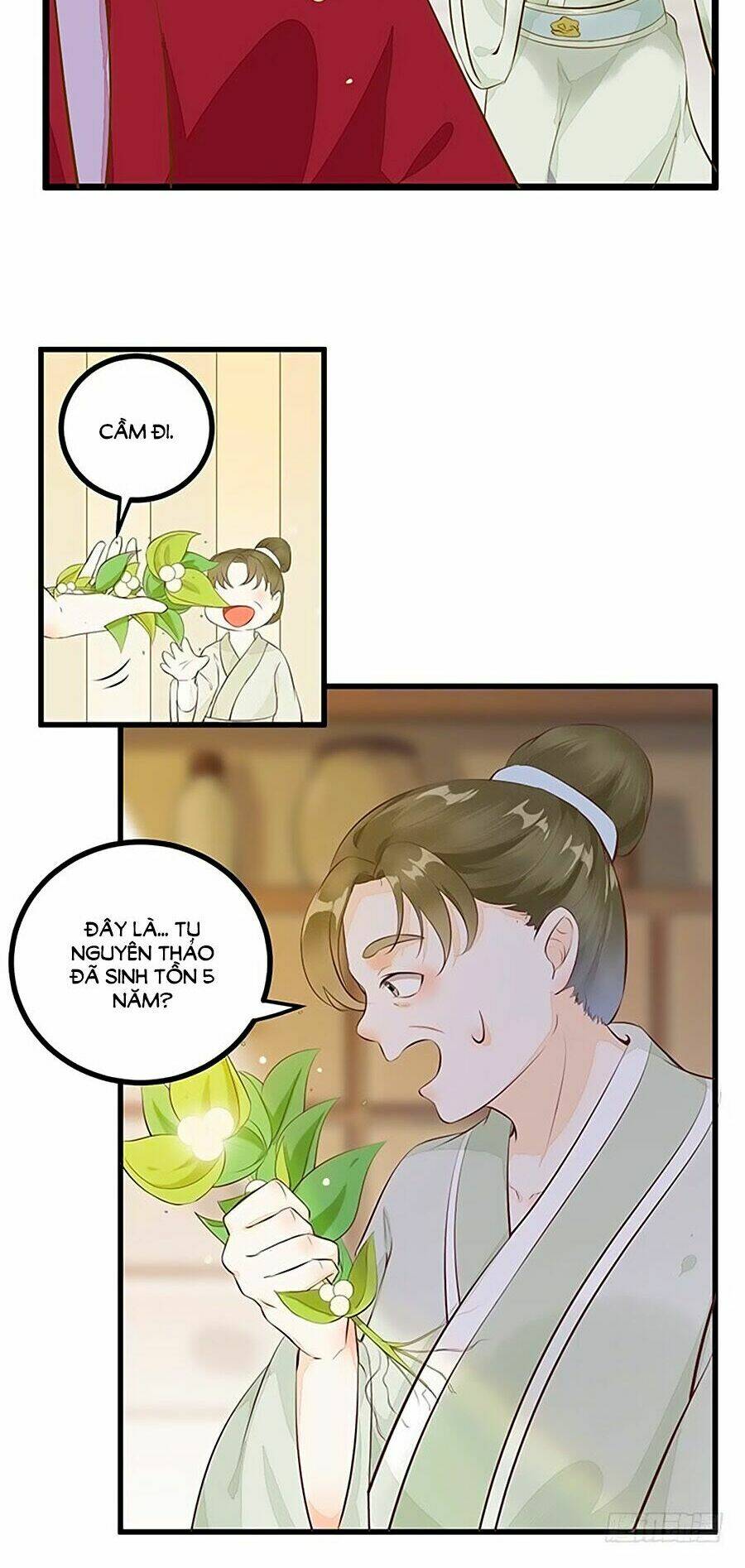 thần y khí nữ: ngự thú cuồng phi của quỷ đế chapter 5 21