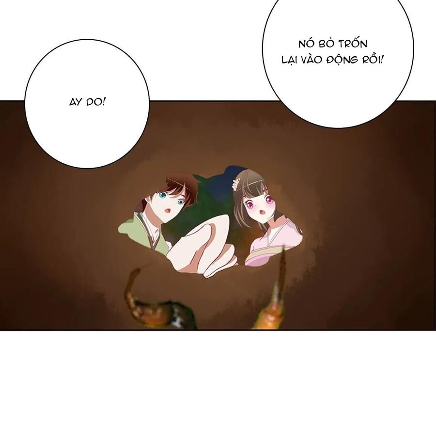 thông linh phi chapter 626 2