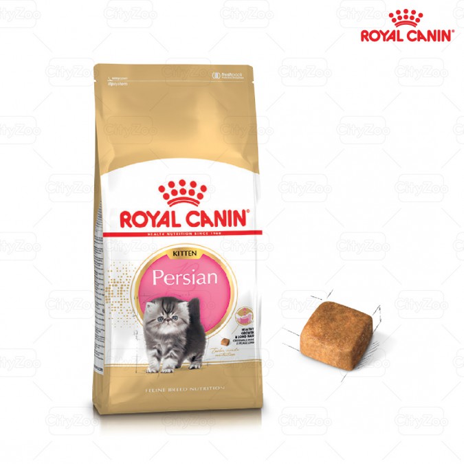 Thức ăn cho mèo ROYAL CANIN PERSIAN KITTEN