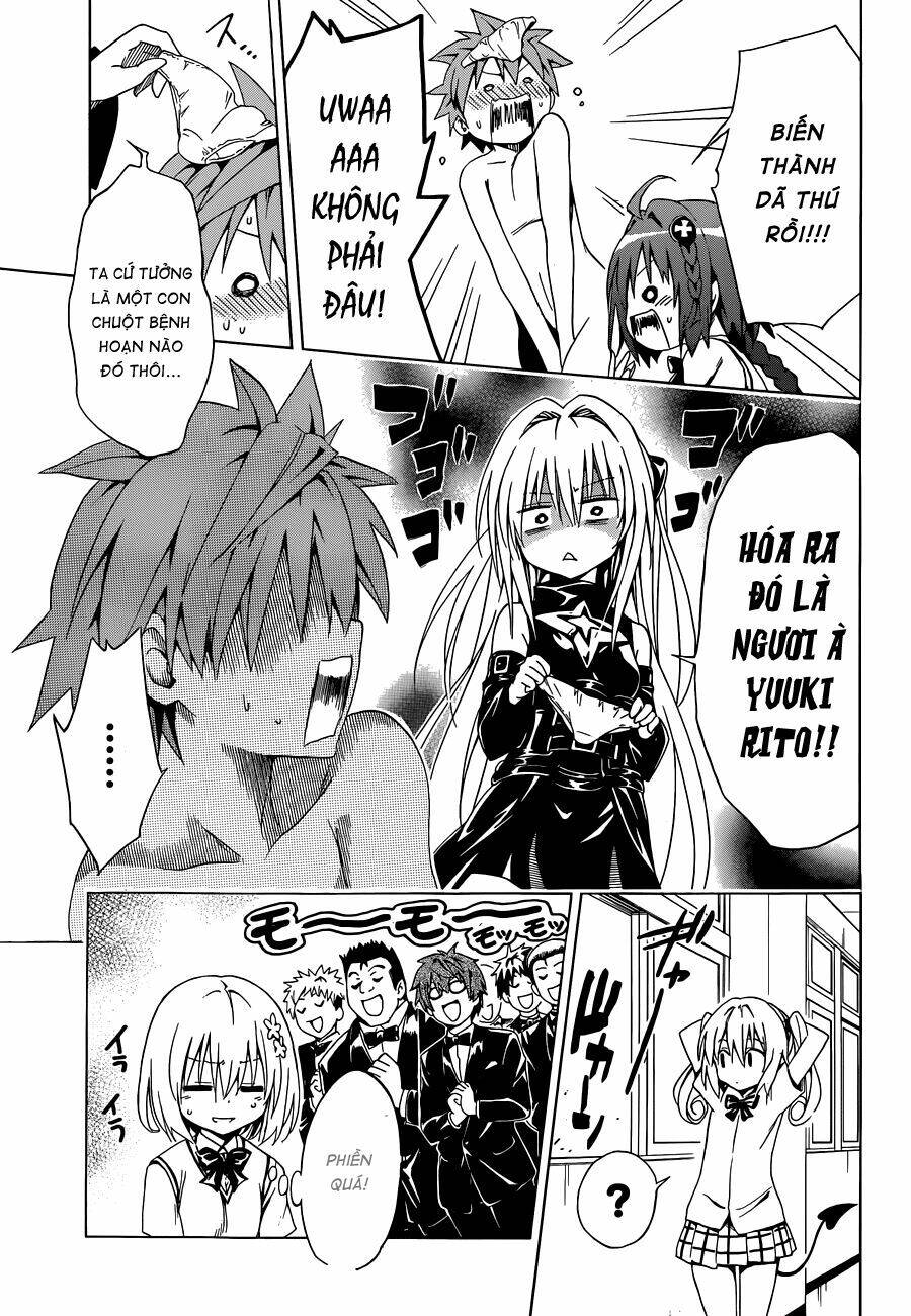 bọn tớ thích cậu! rito 2 - venus chapter 37 36