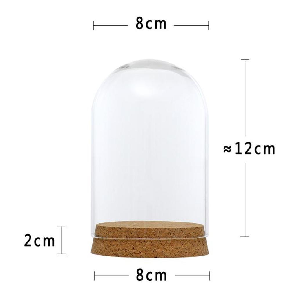 4 Set Glass Cover Landscape Terrarium Container Lid Vase Bottle