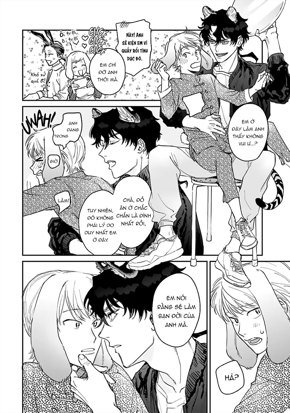 thỏ cưng của chàng hổ chapter 2 33