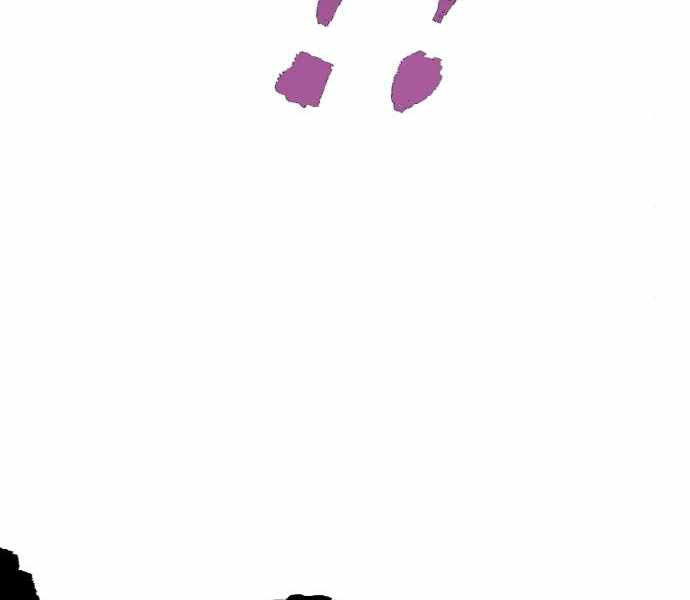 image 223
