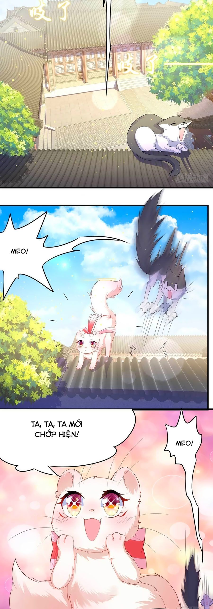 Dưỡng Thú Vi Phi chapter 6 - Trang 12