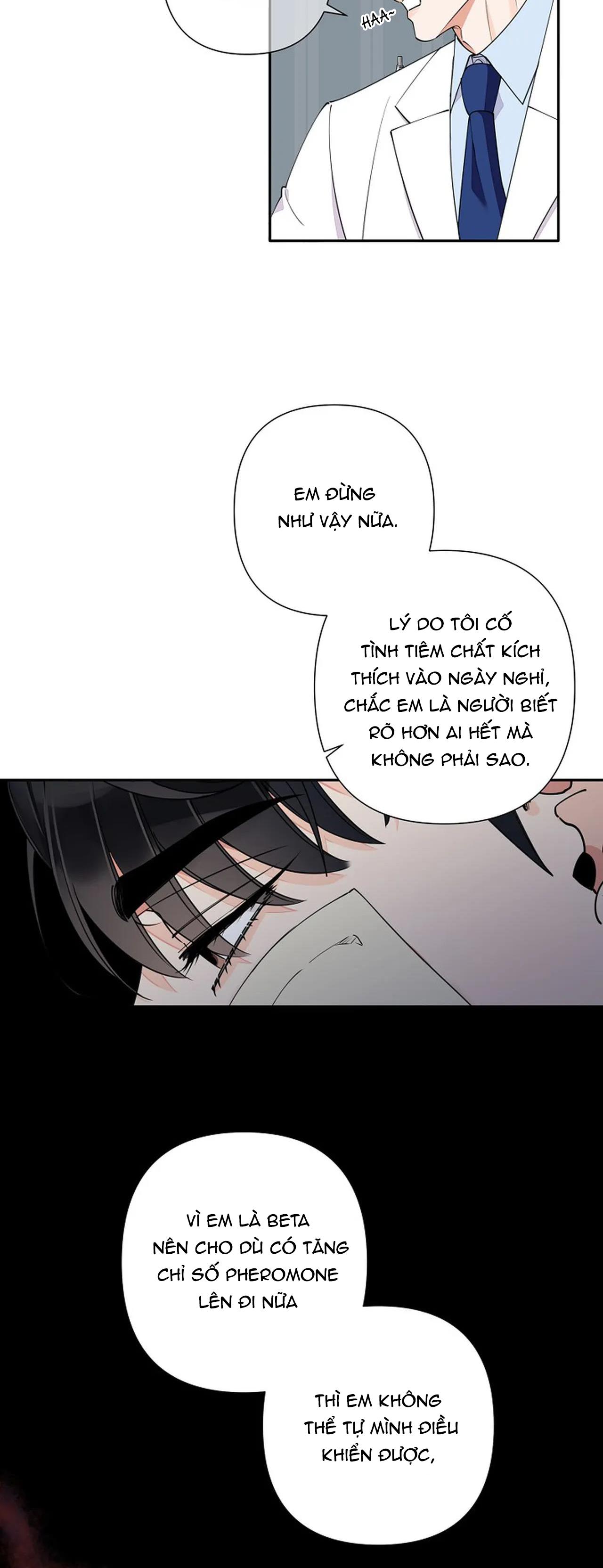 đêm dịu dàng chapter 8 10