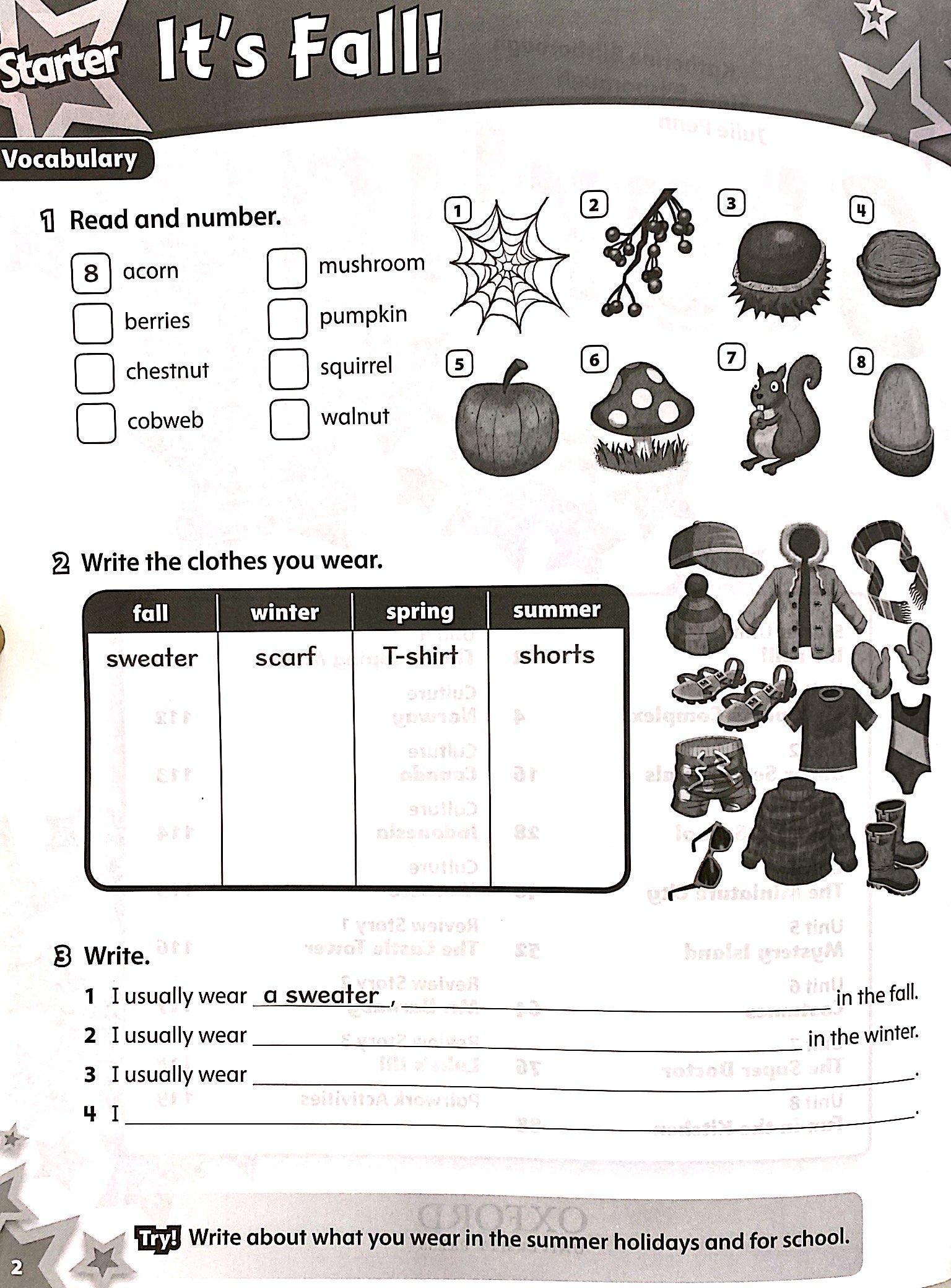 Starlight: Level 4: Workbook