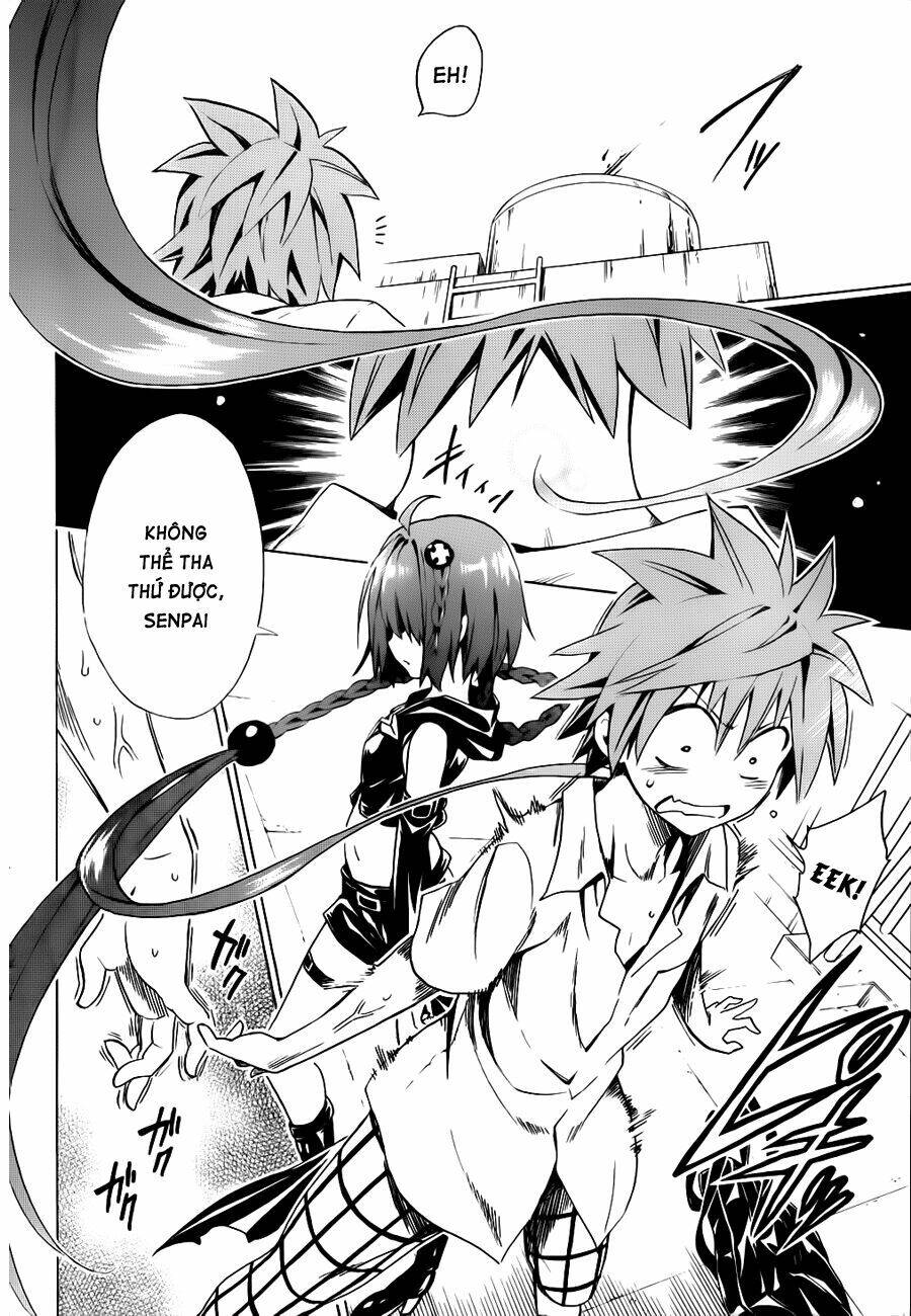 bọn tớ thích cậu! rito 2 - venus chapter 26 15