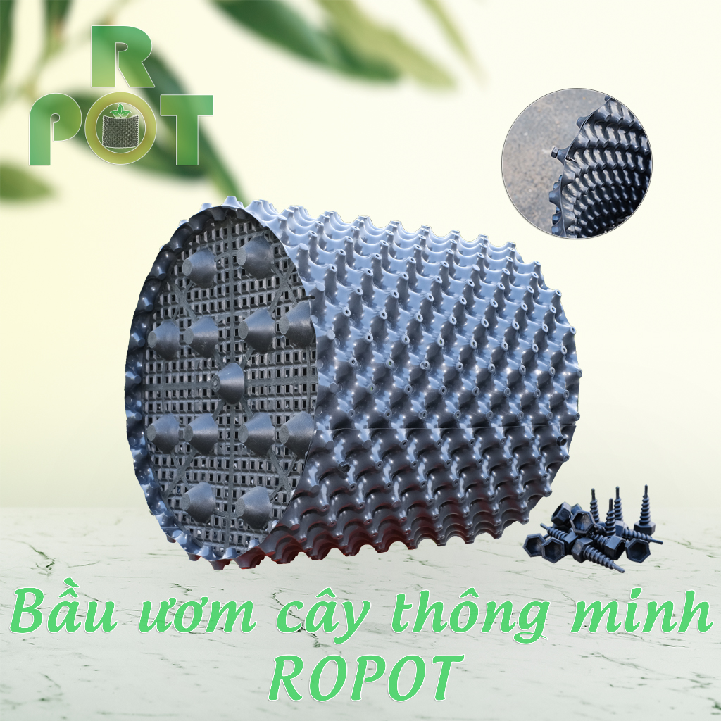 Bầu Ươm Cây Ropot cao 50cm x 5m