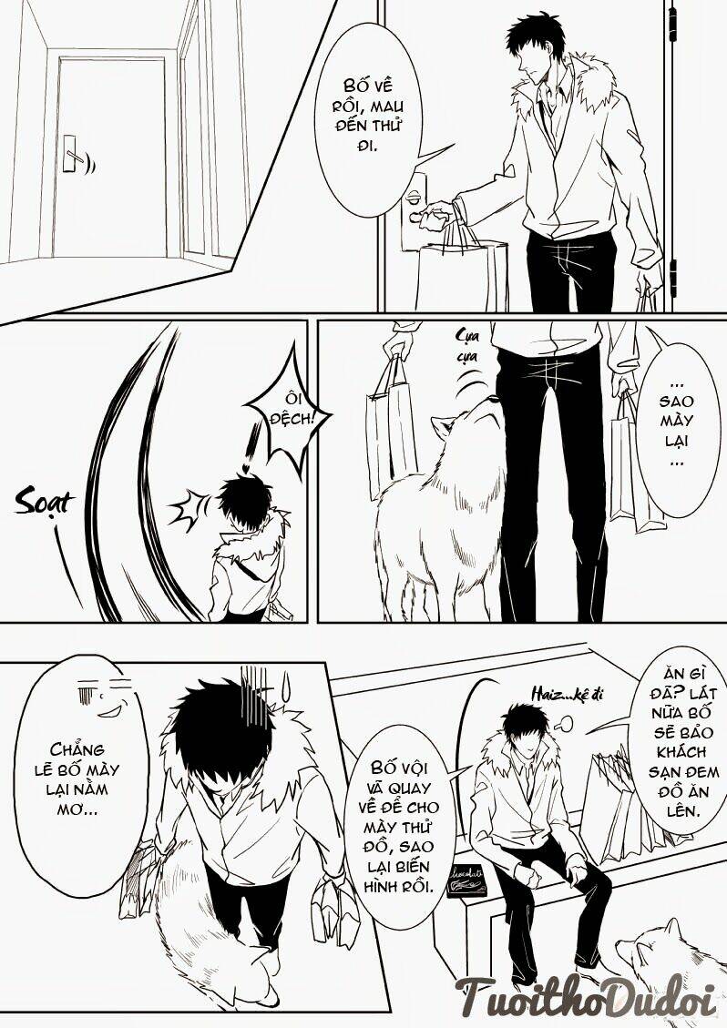 sự mê hoặc của sói chapter 13 8