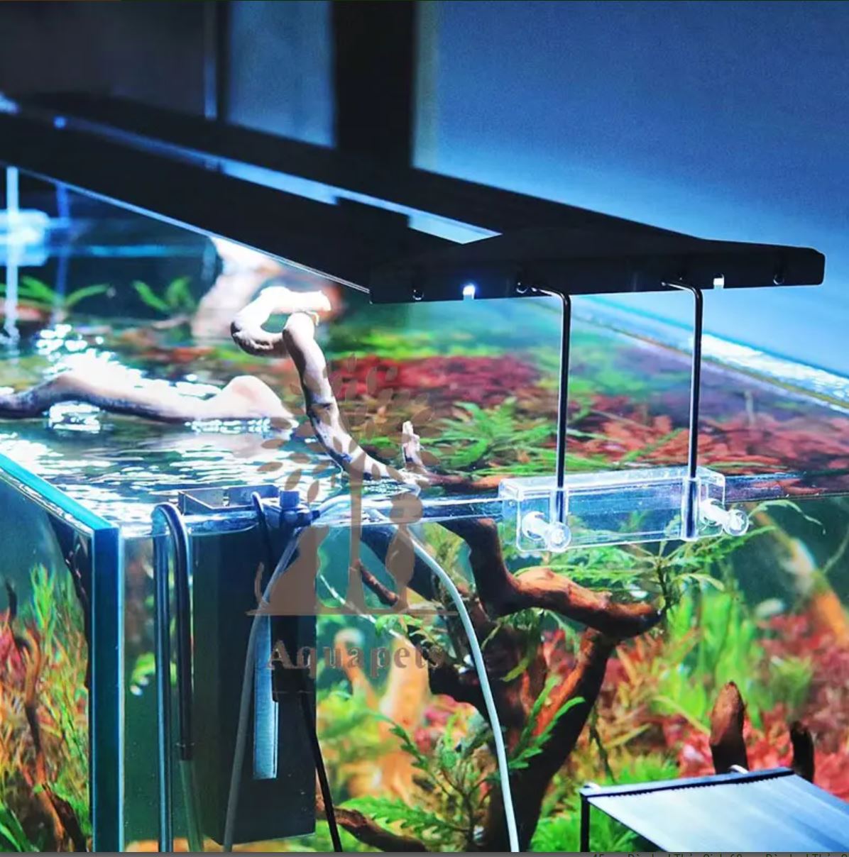 Đèn thủy sinh Neo Helios Flat XP Series - RGB 3 in 1 đỏ cá không đỏ nước