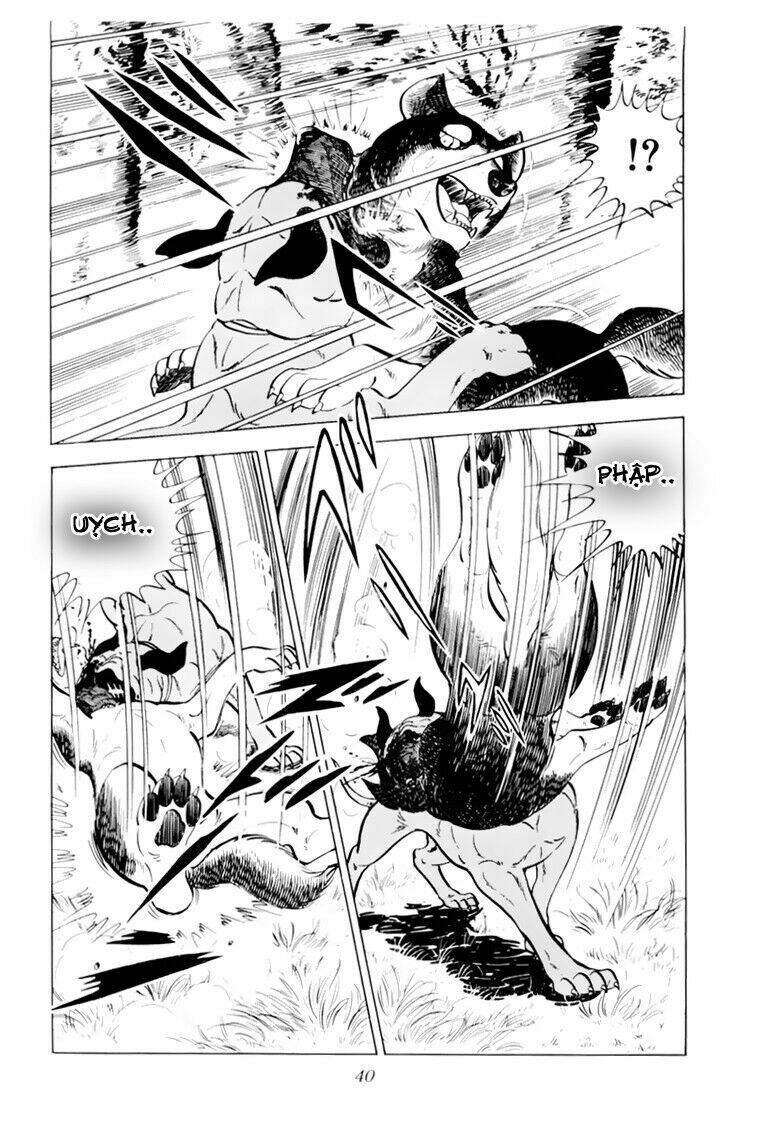 chú chó có nghĩa - ginga nagareboshi gin chapter 31 40