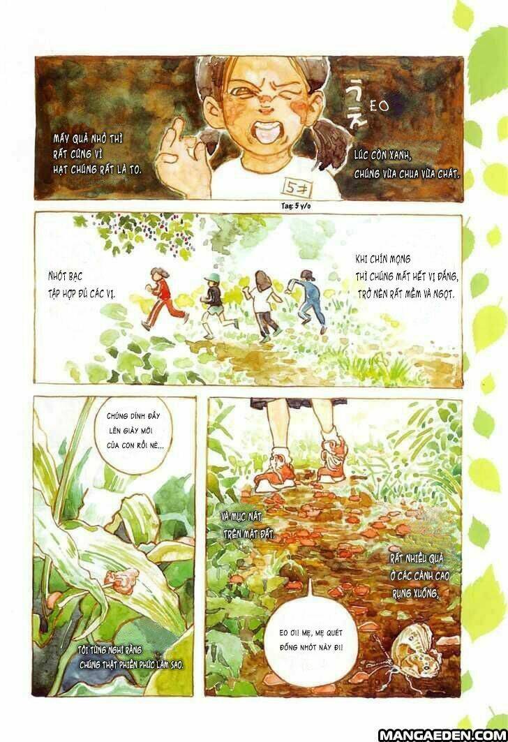 little forest chapter 1 5