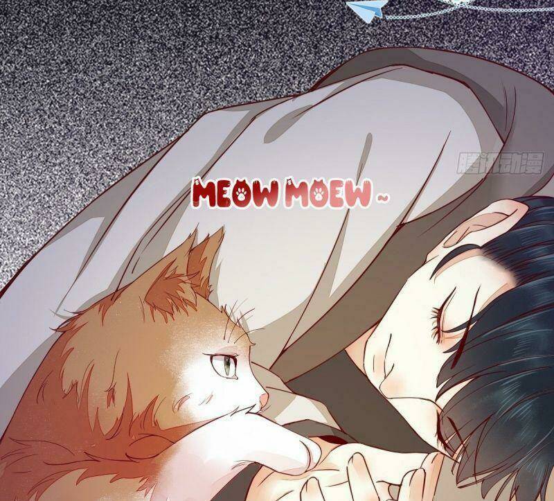 sát thủ vương phi không dễ chọc chapter 31 23