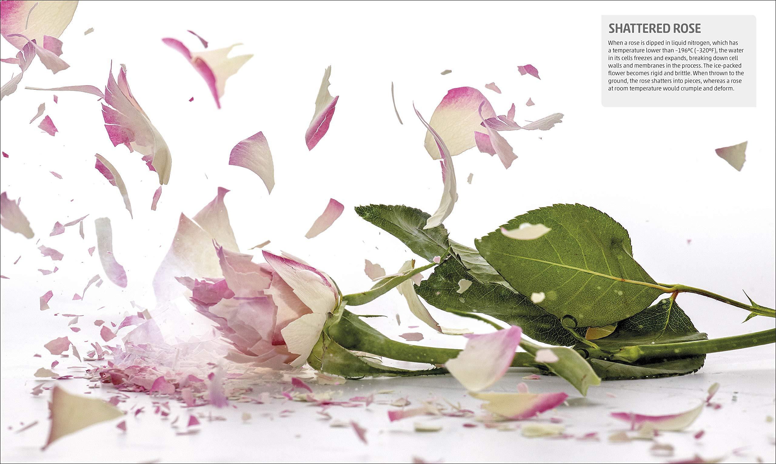 Sách ngoại văn: Explanatorium Of Science - Where the Wonders Of The World Are Revealed