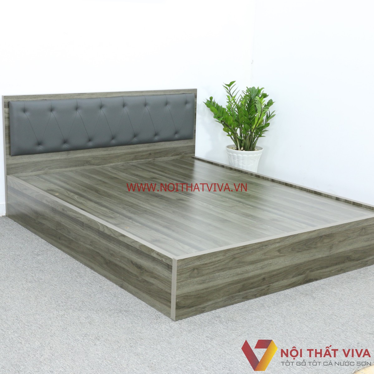 Giường Ngủ Gỗ MDF Melamine Màu Xanh Rêu Vân Gỗ Có Đầu Nệm Đen Cá Tính Đẹp