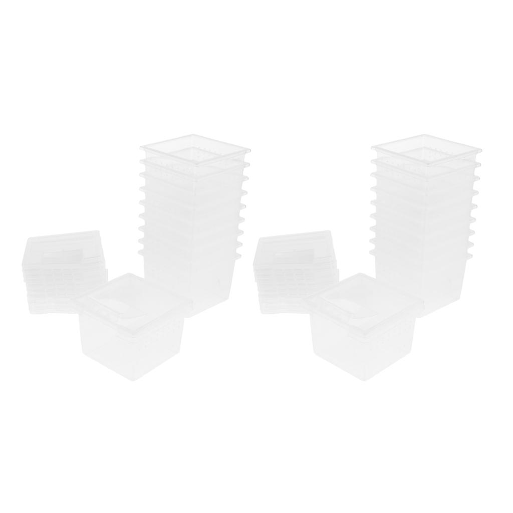 20 Pcs Reptile Food Water Feeder Feeding Spider Basin Insect Turtle Breeding