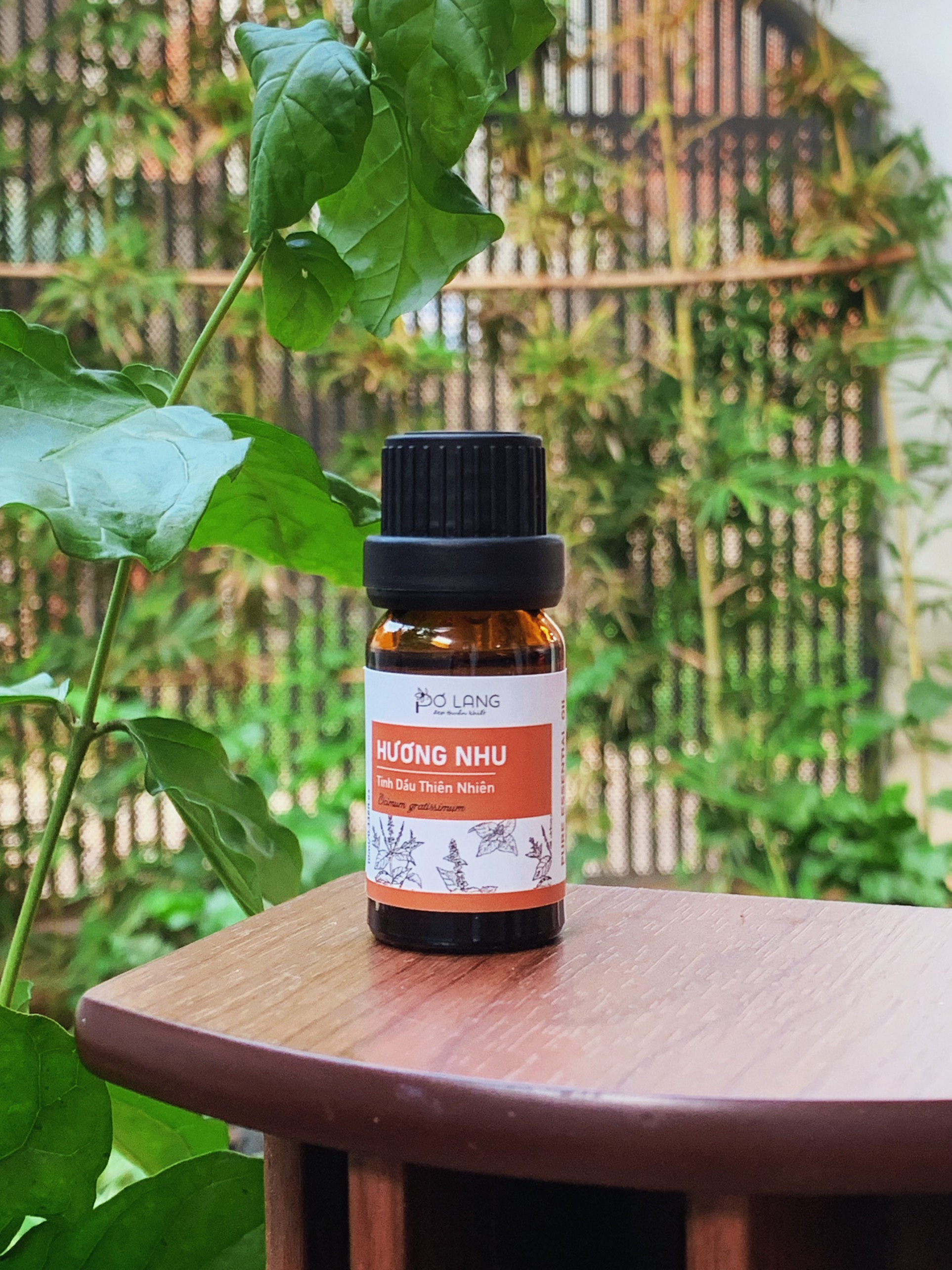Tinh dầu hương nhu thiên nhiên giúp dưỡng tóc, giúp giải cảm, hỗ trợ giảm đau xương khớp
