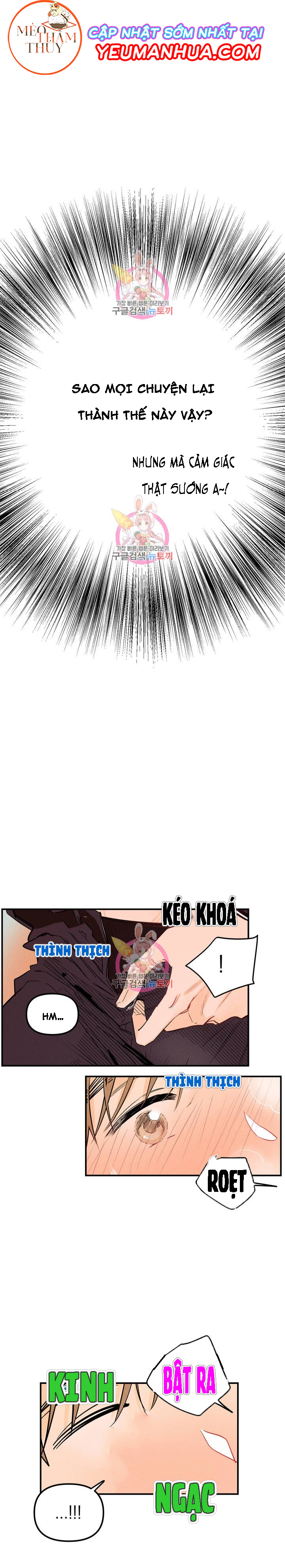 punk dunk funk chapter 3 5