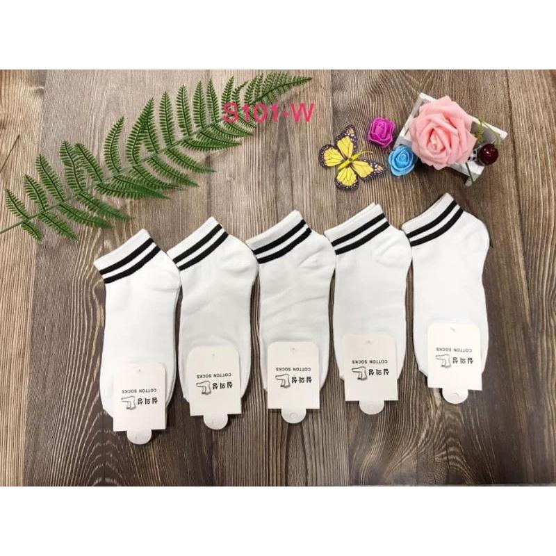 Set 10 Tất vớ nữ cổ ngắn chất cotton trơn nhiều màu