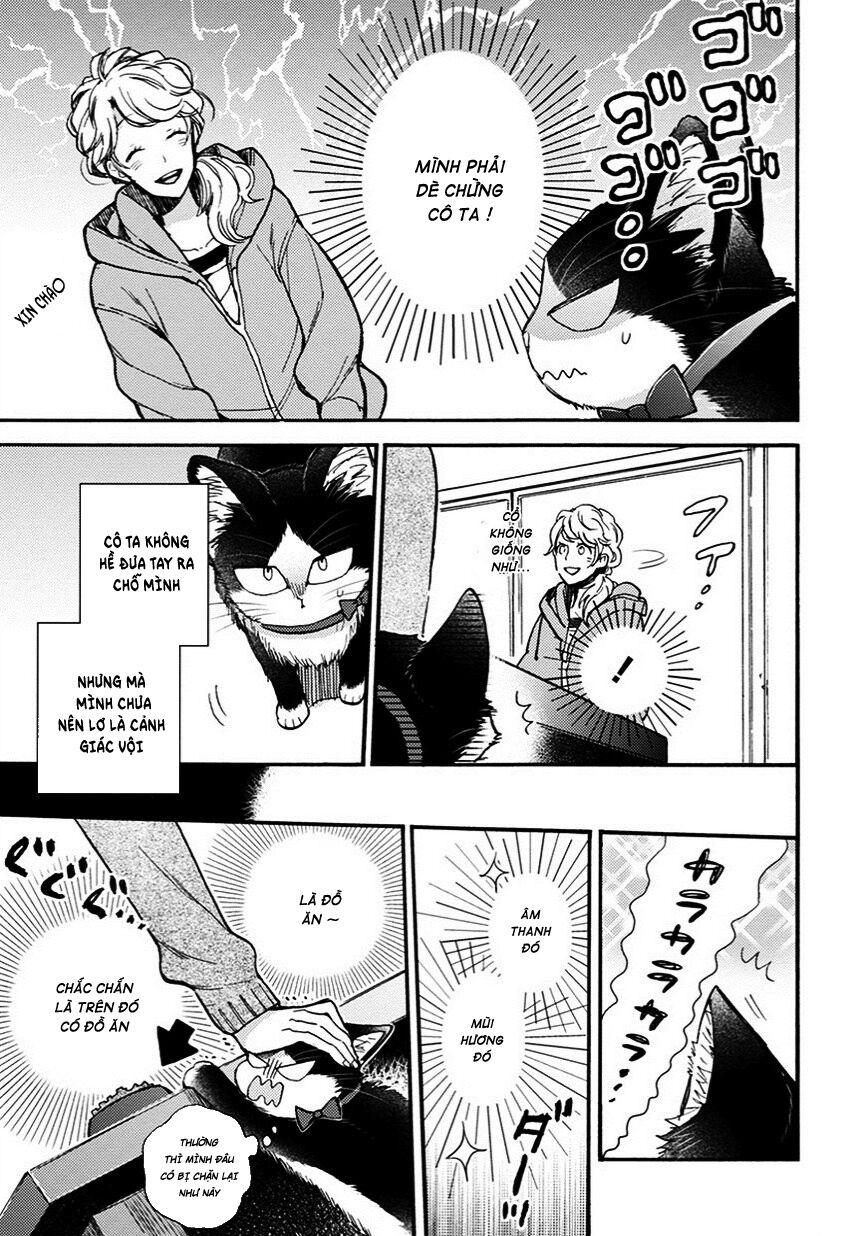 doukyonin wa hiza, tokidoki, atama no ue chapter 8.5 3