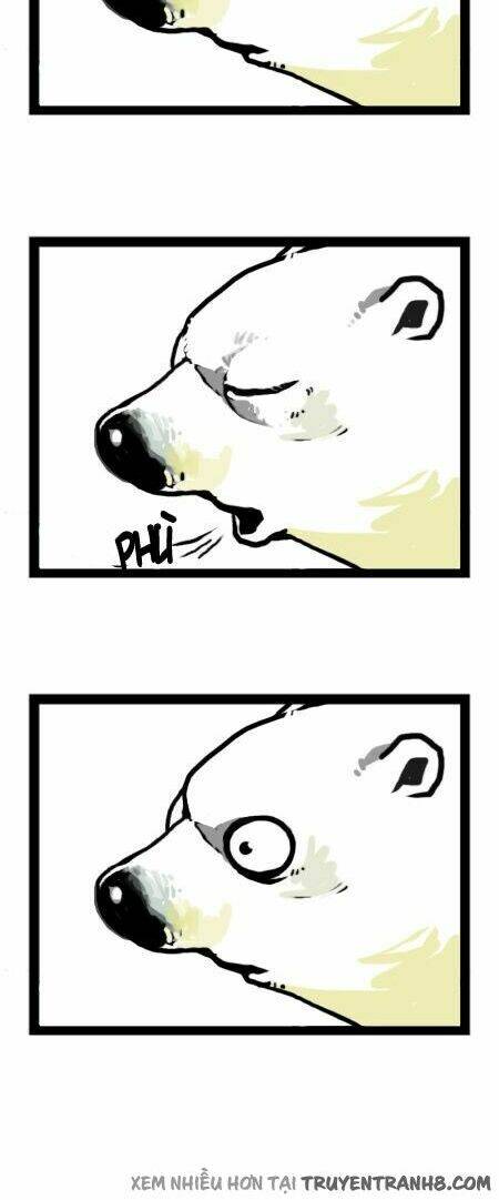 earth, human, and animal chapter 10 5