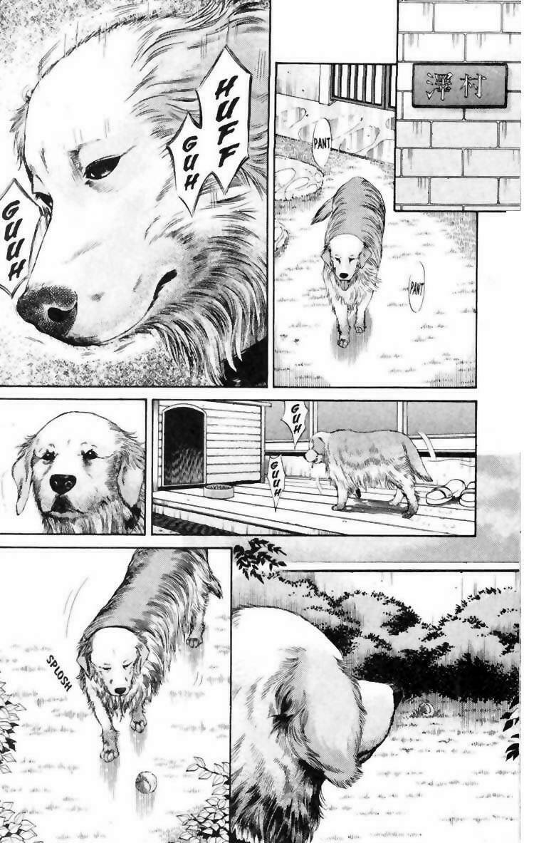 cô nàng yêu chó chapter 6 9