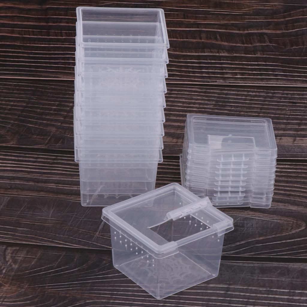 60Pcs/Set Insect Reptile Spider Terrariums Breeding Box Hatching Container