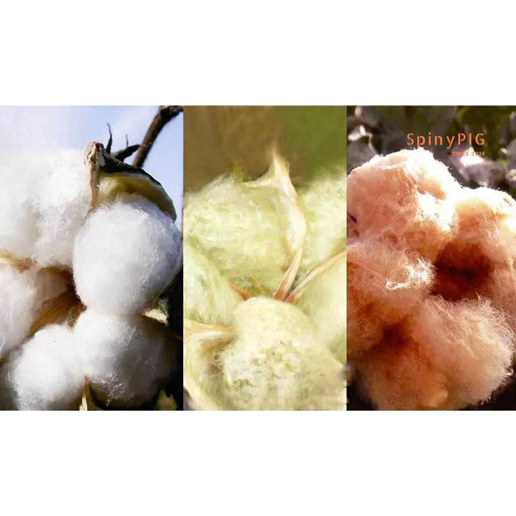 Quần lót, quần mặc ngoài bỉm cho bé 0-6 tuổi ORGANIC 100% SỢI BÔNG COTTON HỮU CƠ TỰ NHIÊN