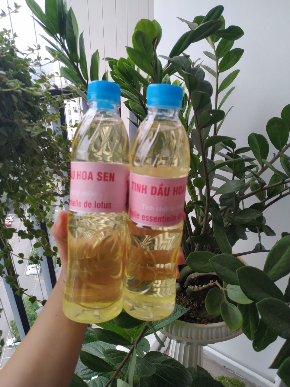 Tinh dầu Sen lau ban thờ, chai 500ml