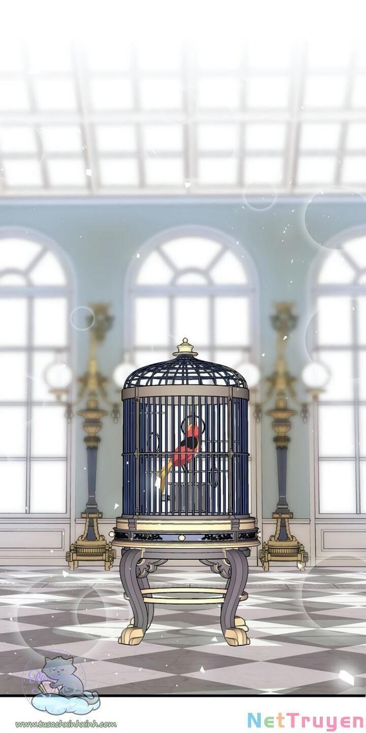 xin hãy cứ khóc, thái tử chapter 1 51