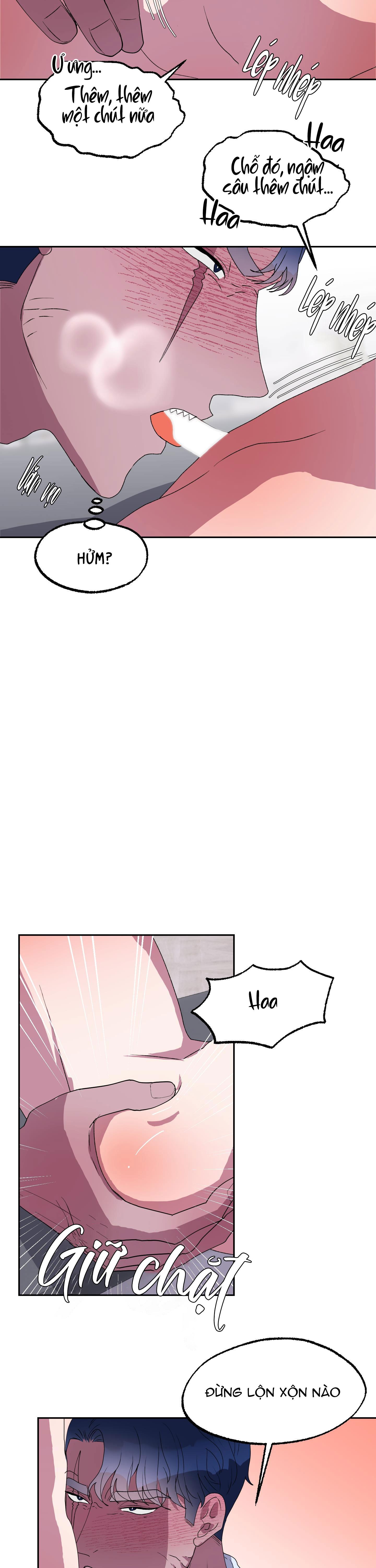 cá mập và cô dâu thỏ chapter 11 12