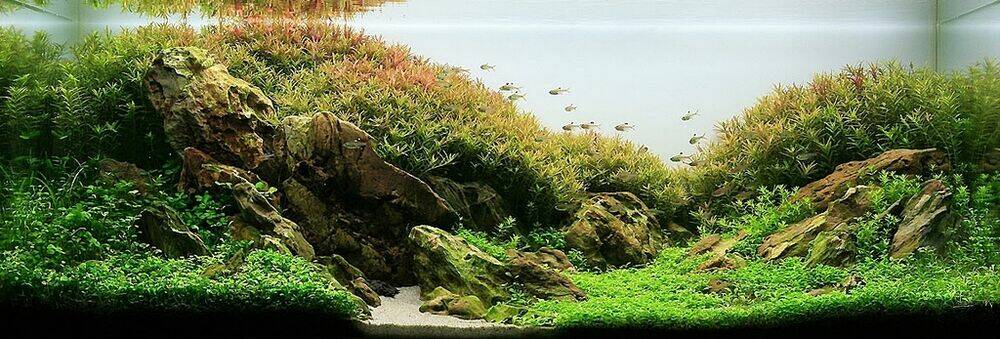 blame gakuen! and so on chapter 5 9