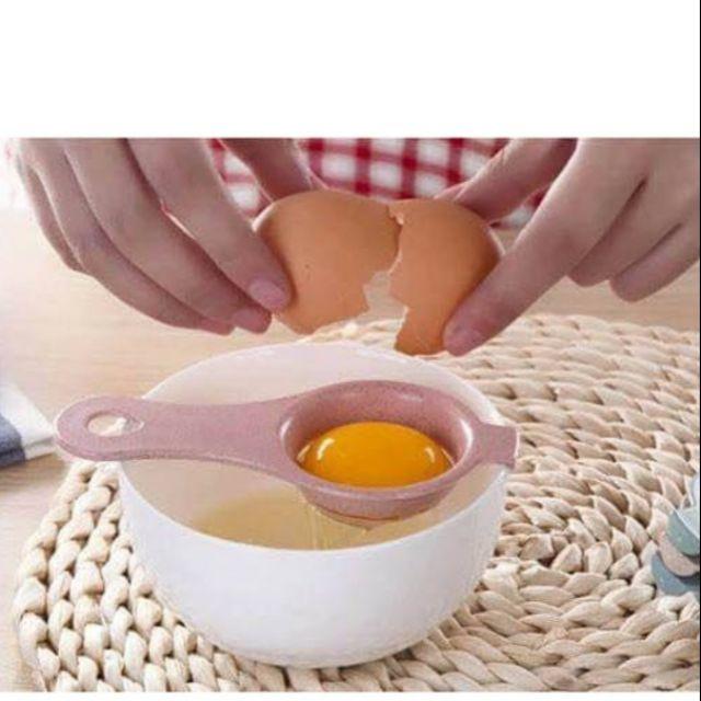 Đĩa lục bình, cói chụp ảnh và trang trí
