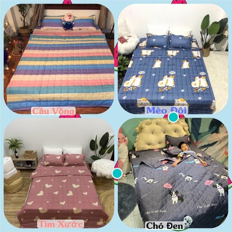 Bộ Chăn hè Ga Gối Cotton Poly Combo 5 Món - Nhiều Mẫu Lựa Chọn