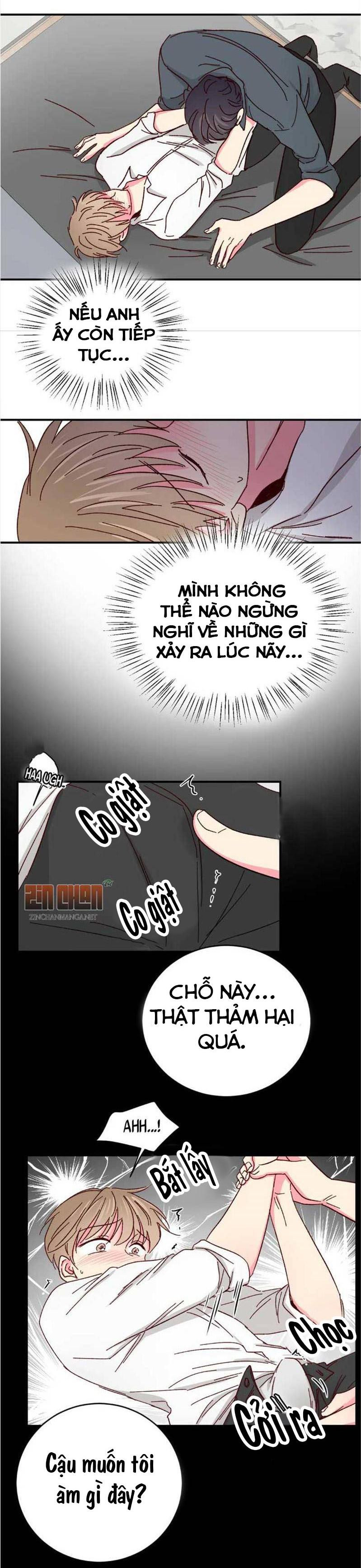 món tráng miệng của sếp tổng chapter 41 11