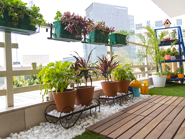 Sỏi trắng trang trí tiểu cảnh, sân vườn, thủy sinh