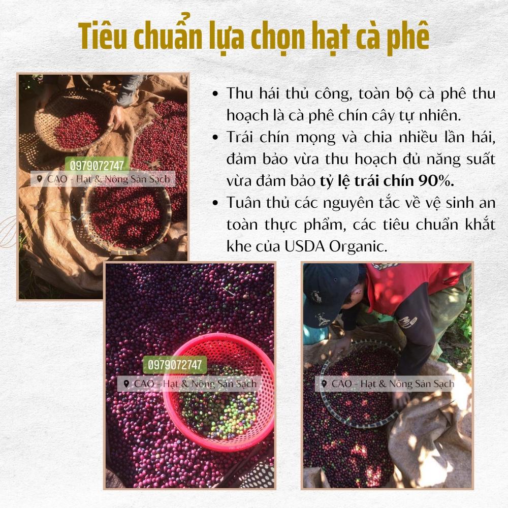 Cà phê rang xay CAO Food từ hạt cà phê robusta chín Đaklak thơm ngon và phù hợp với mọi đối tượng