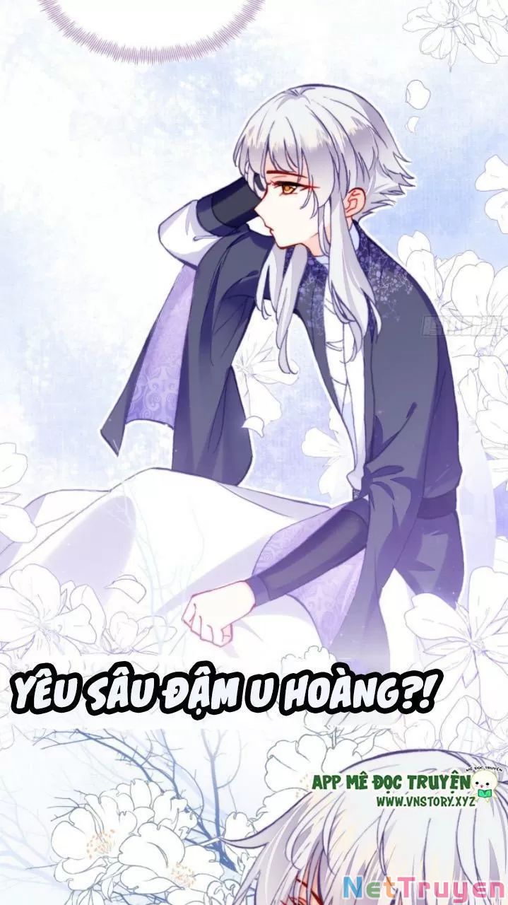 lại bị bệnh chiều chuộng quấn lấy chapter 20 61