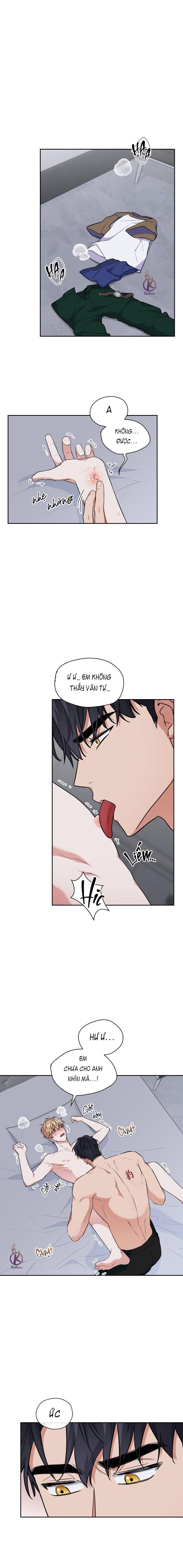 mồi nhử chapter 62 1