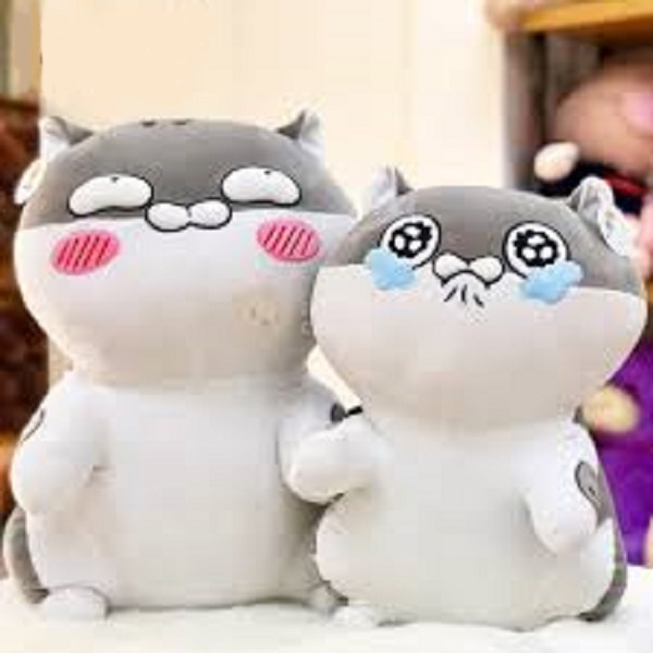 Thú Bông Hình Gấu Bông Mèo Ami 60cm