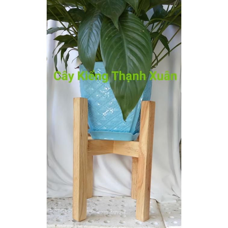 Kệ Đôn Giá Gỗ Để Chậu Cây, Chậu Hoa Trang Trí Nhà Cửa, KT Lọt Lòng 20cm, Kệ Tháo Rời, Màu Gỗ