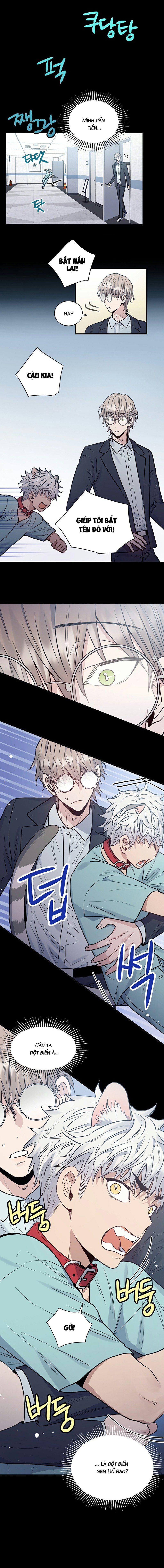 anh à! em đã lớn rồi! chapter 1 7