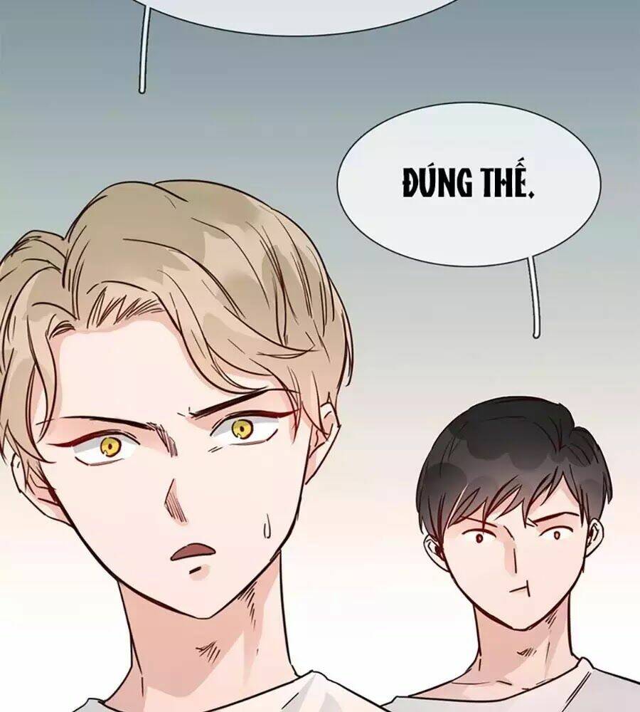 ngôi sao vụn vỡ chapter 26 25