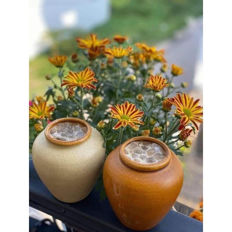 Vò nước trái cây️500ml(nhiều màu)